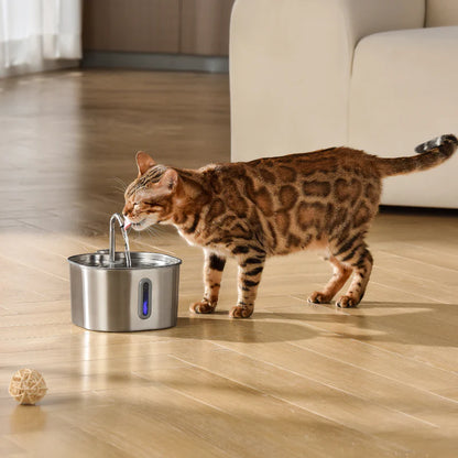 Health And Happiness Cat Kit